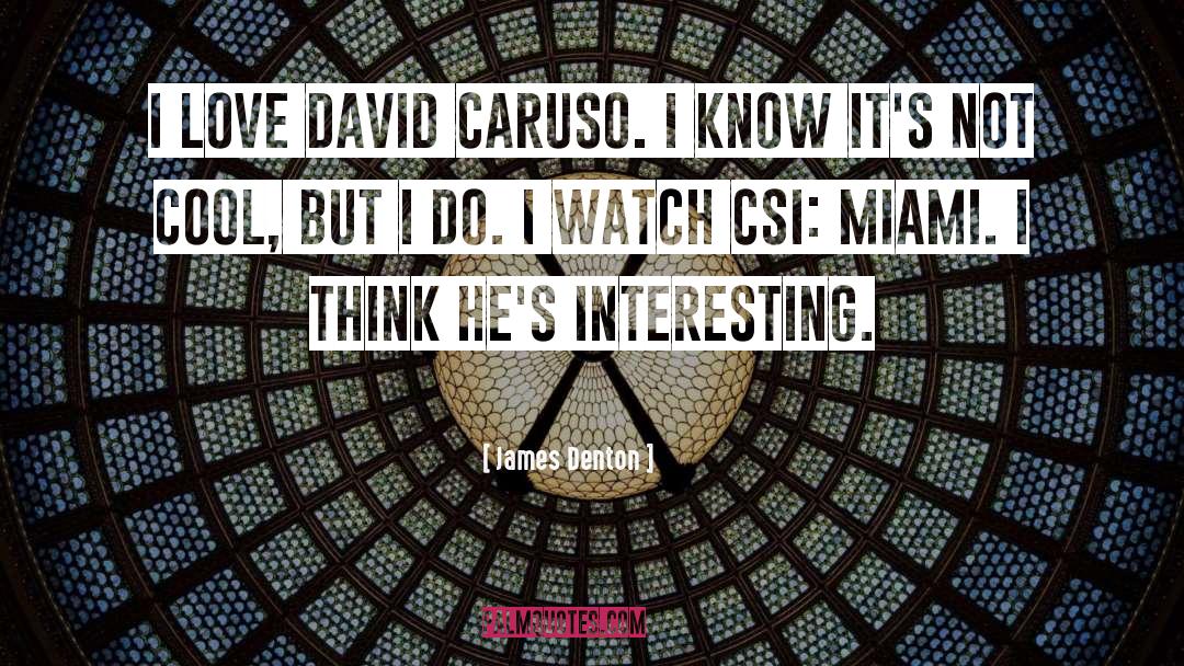 James Denton Quotes: I love David Caruso. I