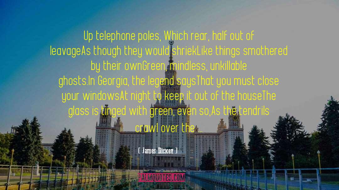 James Dickey Quotes: Up telephone poles, <br>Which rear,