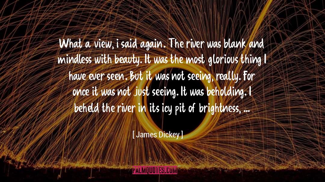 James Dickey Quotes: What a view, i said