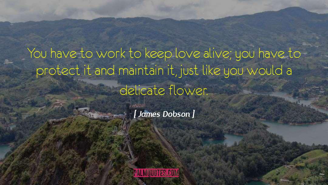 James Dobson Quotes: You have to work to
