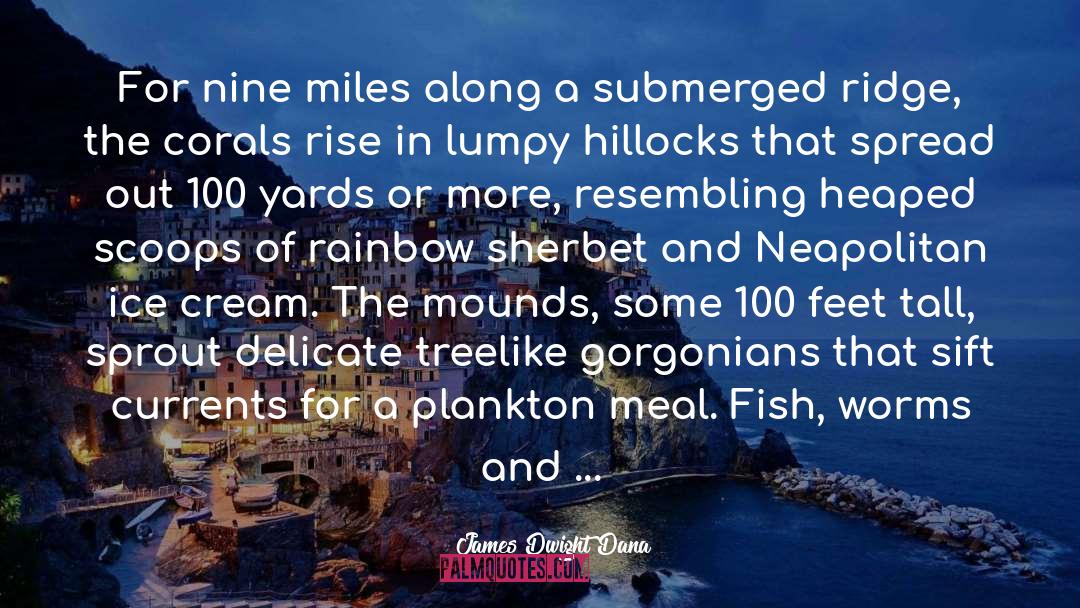 James Dwight Dana Quotes: For nine miles along a