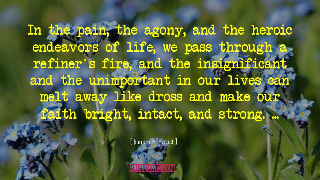 James E. Faust Quotes: In the pain, the agony,