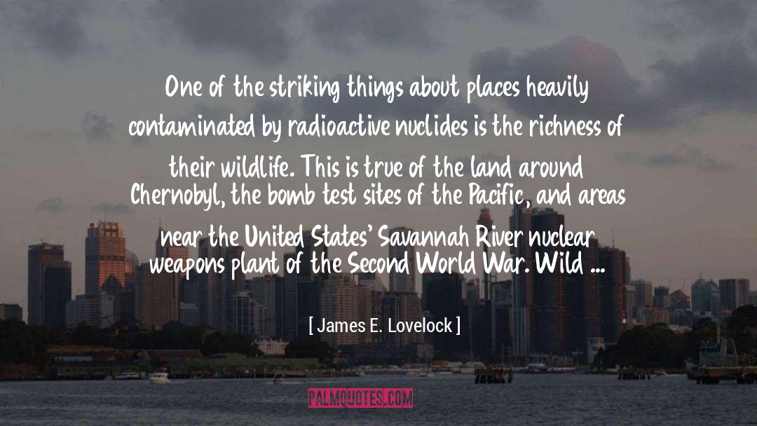James E. Lovelock Quotes: One of the striking things