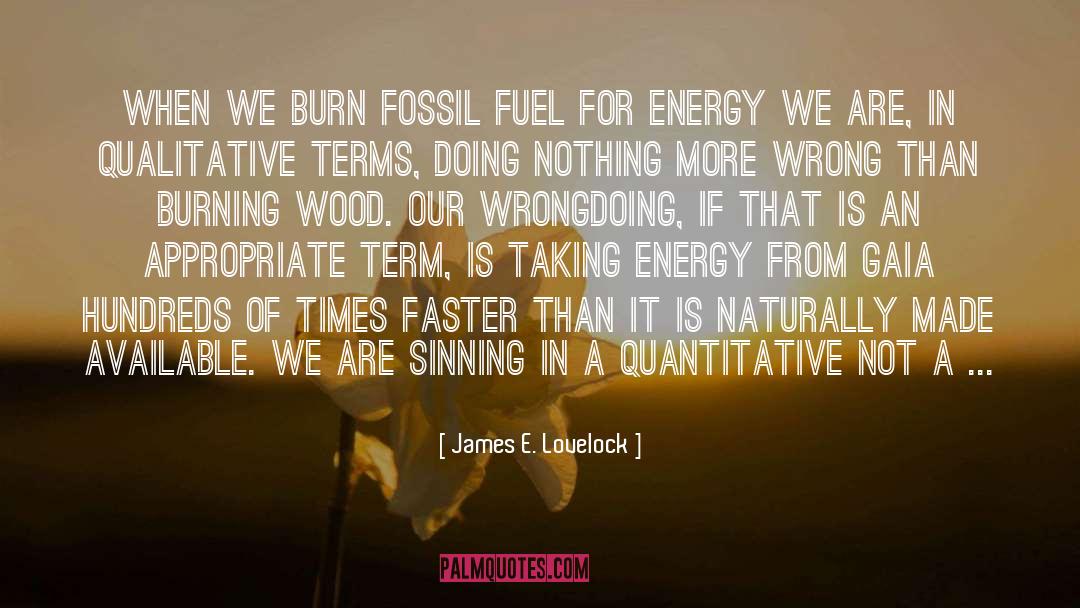 James E. Lovelock Quotes: When we burn fossil fuel