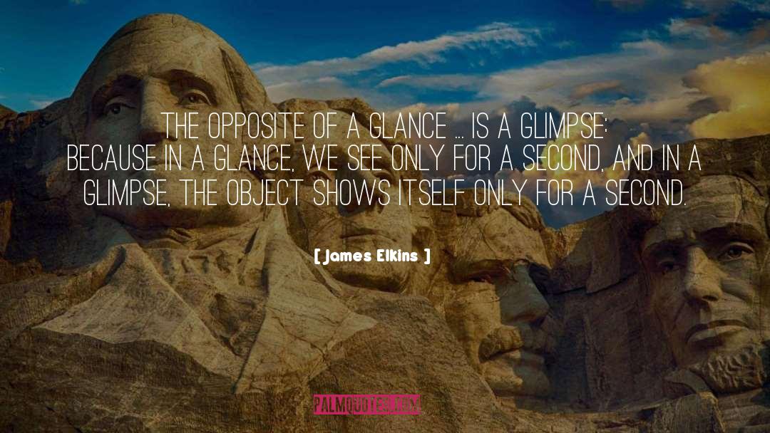 James Elkins Quotes: The opposite of a glance