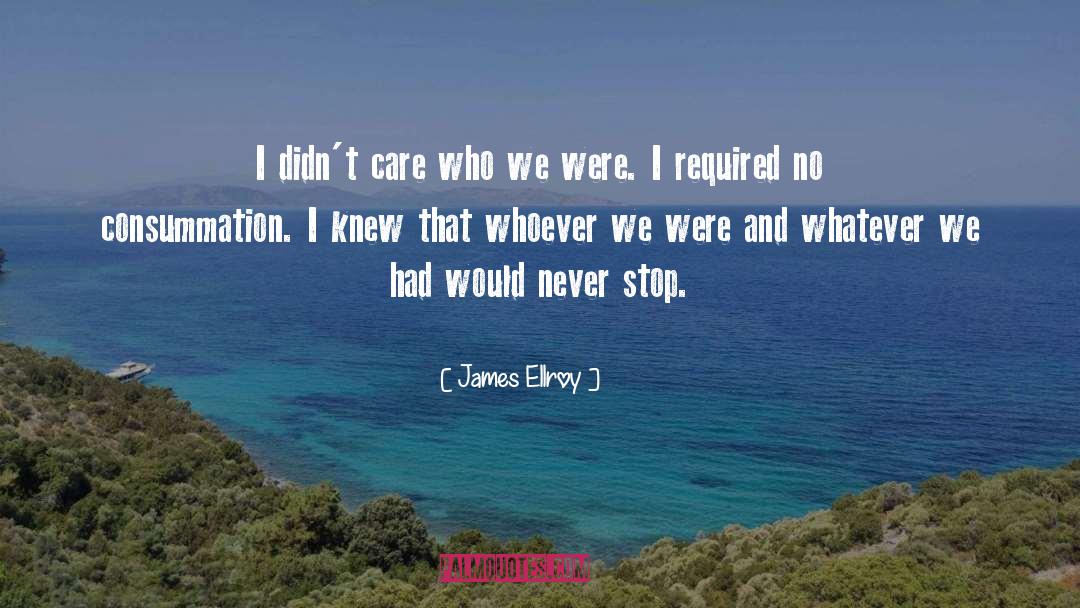 James Ellroy Quotes: I didn't care who we