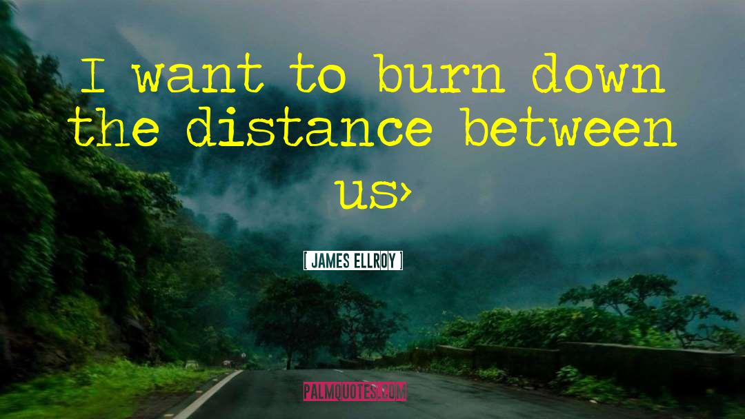 James Ellroy Quotes: I want to burn down