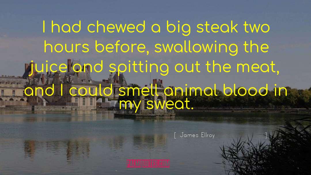 James Ellroy Quotes: I had chewed a big