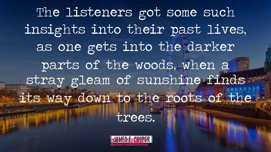James F. Cooper Quotes: The listeners got some such