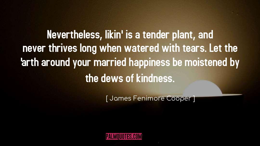 James Fenimore Cooper Quotes: Nevertheless, likin' is a tender