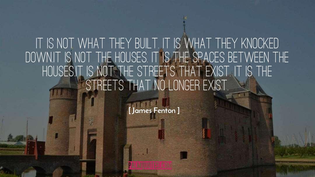 James Fenton Quotes: It is not what they