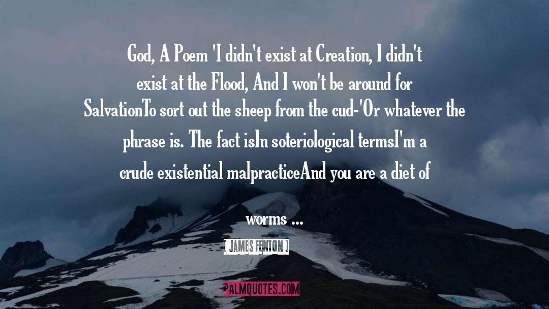 James Fenton Quotes: God, A Poem <br>'I didn't