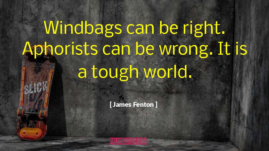 James Fenton Quotes: Windbags can be right. Aphorists