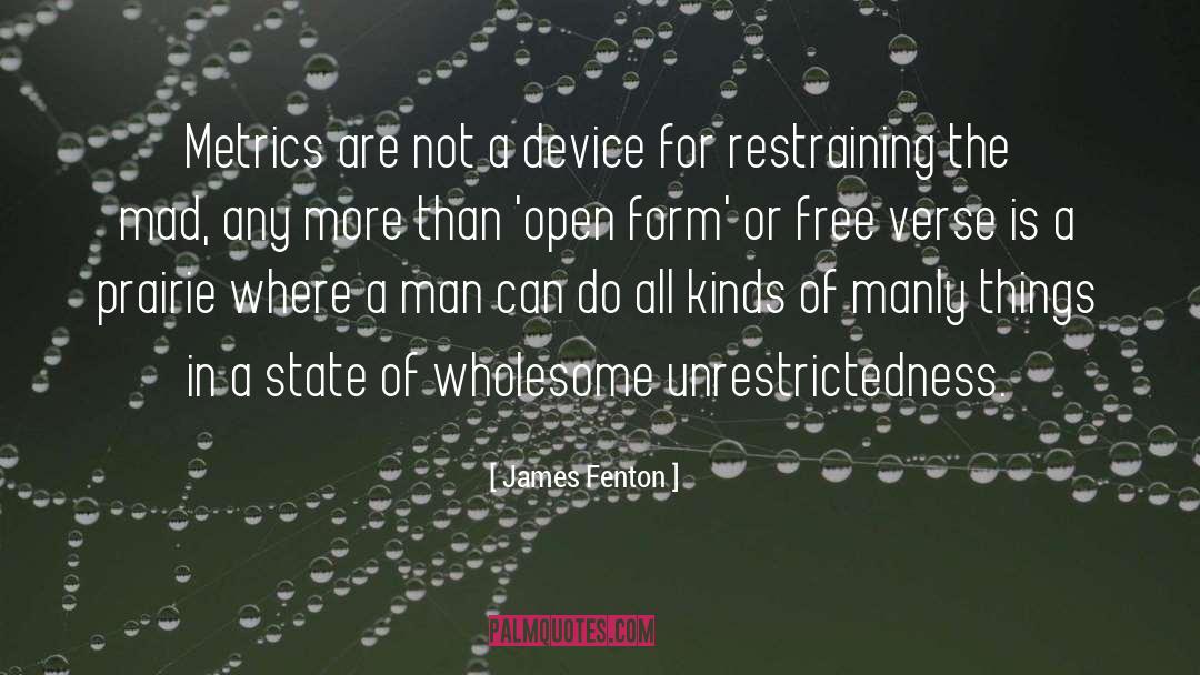 James Fenton Quotes: Metrics are not a device