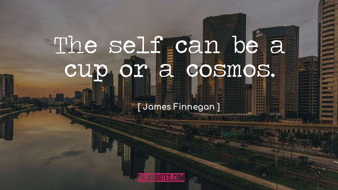James Finnegan Quotes: The self can be a