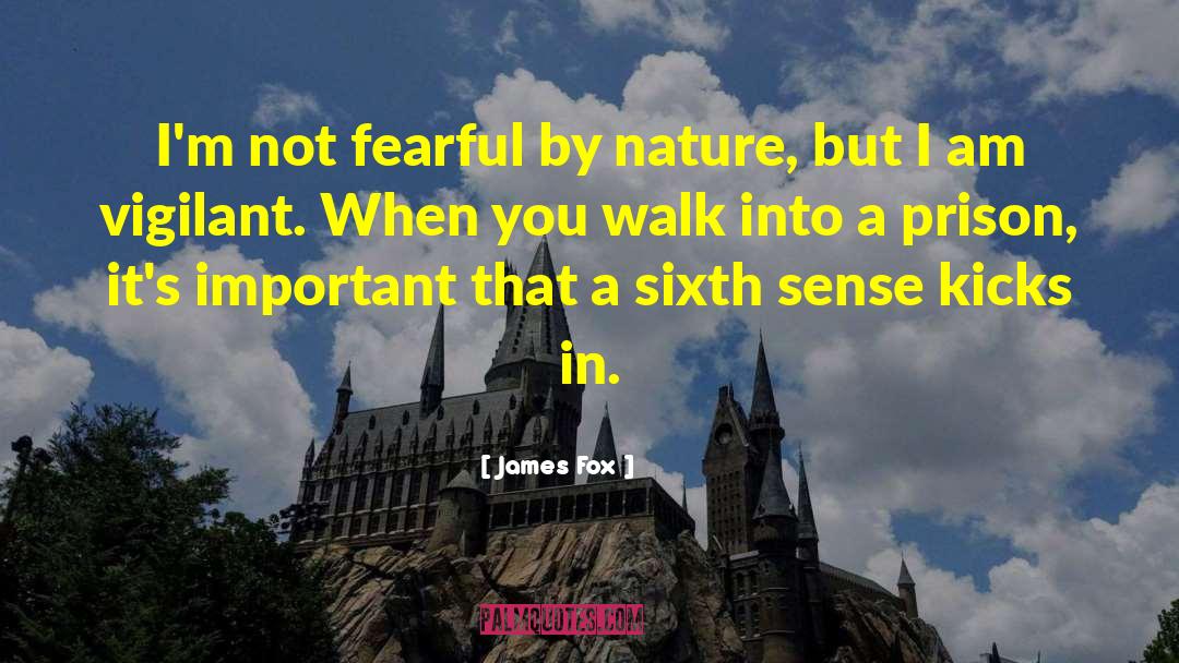 James Fox Quotes: I'm not fearful by nature,