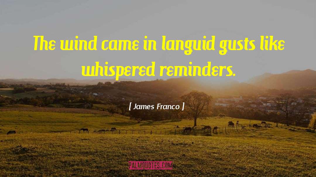 James Franco Quotes: The wind came in languid