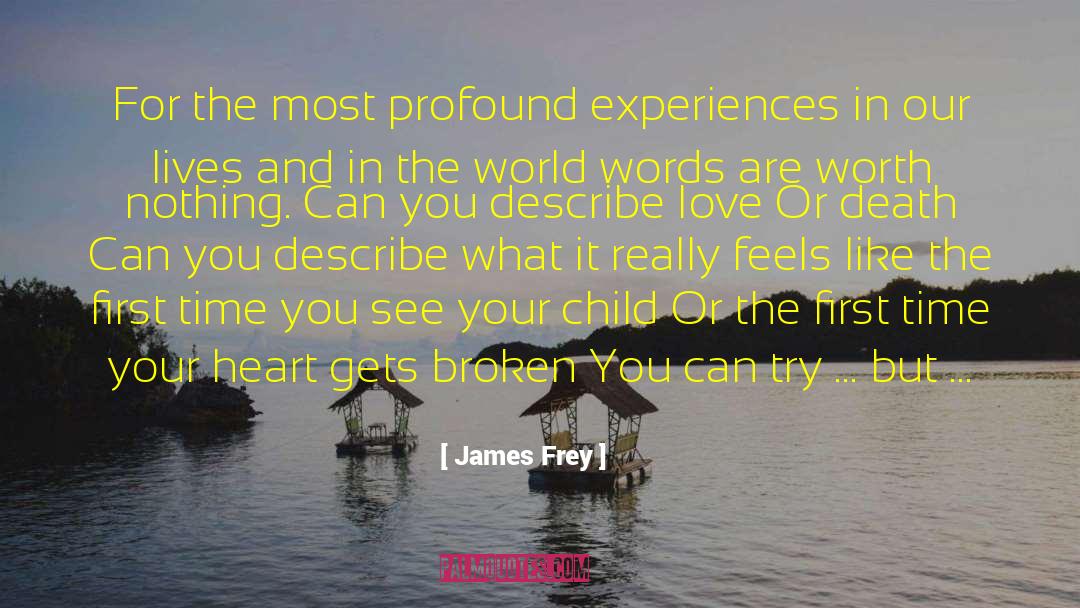 James Frey Quotes: For the most profound experiences