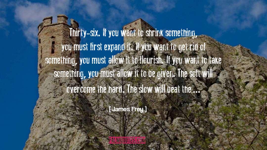 James Frey Quotes: Thirty-six. If you want to