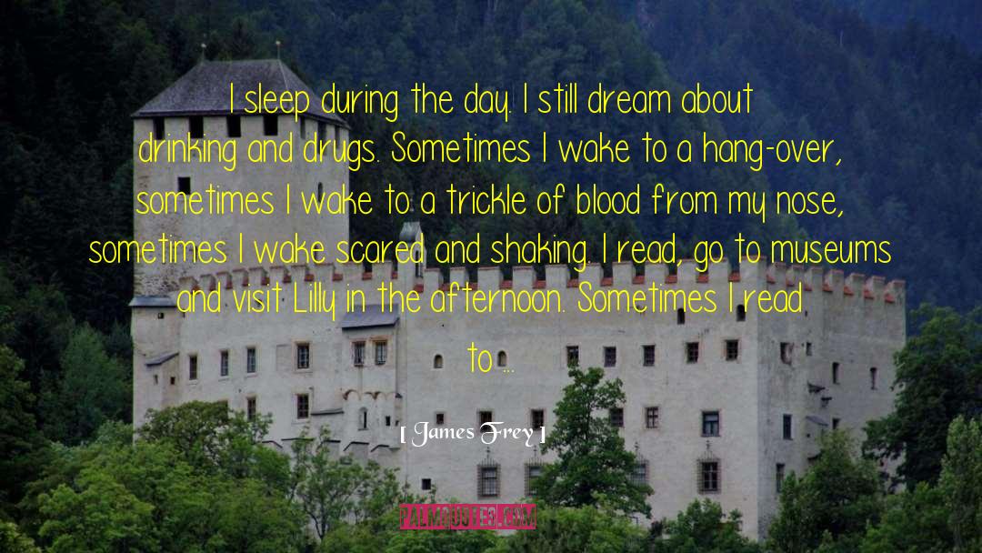 James Frey Quotes: I sleep during the day.