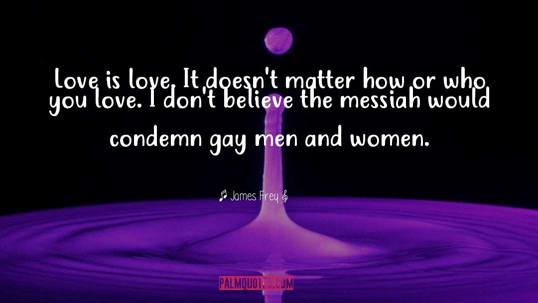 James Frey Quotes: Love is love. It doesn't