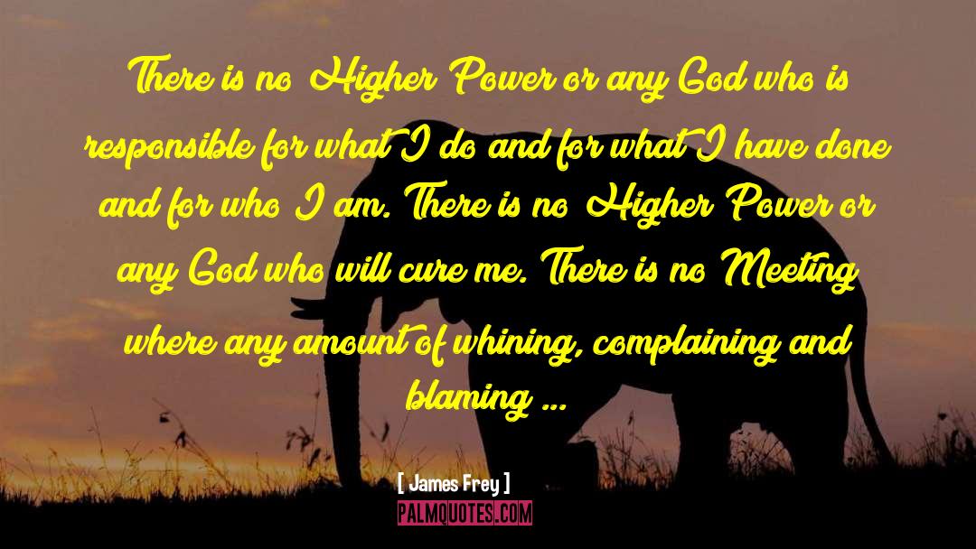 James Frey Quotes: There is no Higher Power