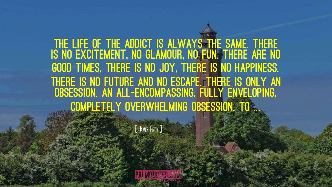 James Frey Quotes: The life of the Addict