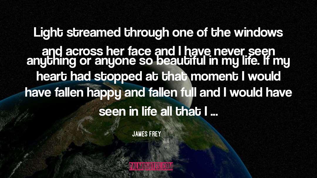 James Frey Quotes: Light streamed through one of