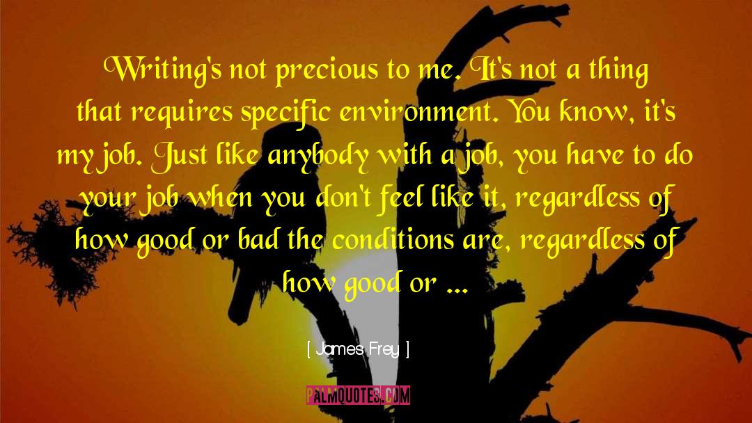 James Frey Quotes: Writing's not precious to me.