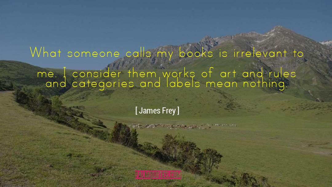James Frey Quotes: What someone calls my books