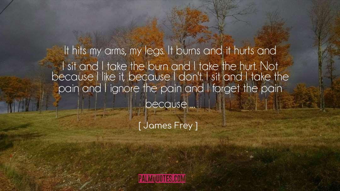 James Frey Quotes: It hits my arms, my