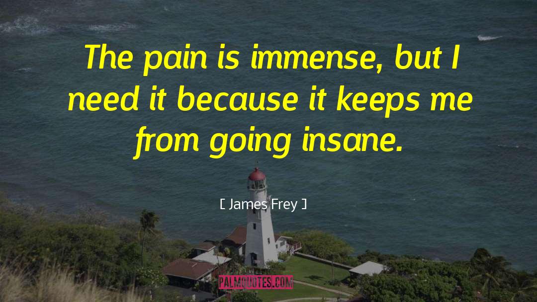 James Frey Quotes: The pain is immense, but