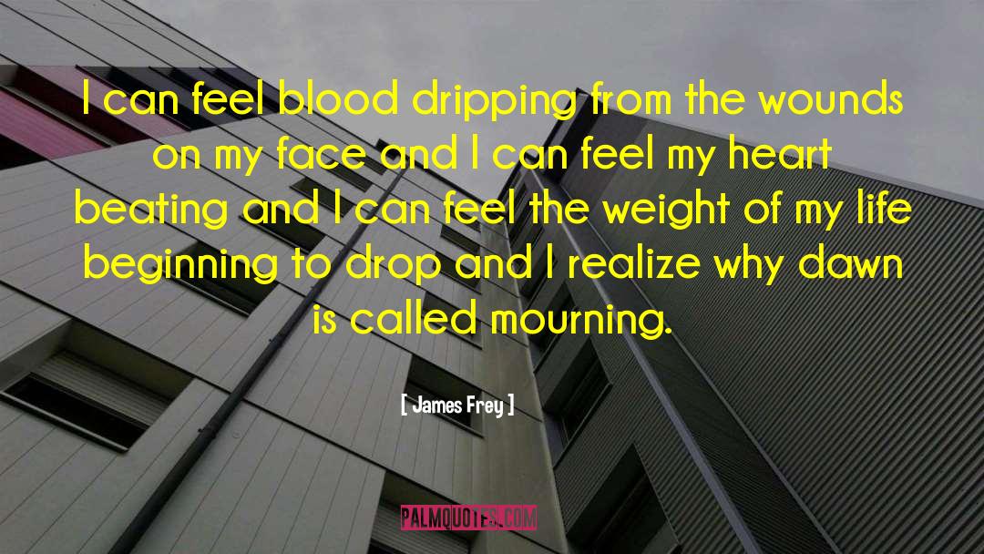 James Frey Quotes: I can feel blood dripping