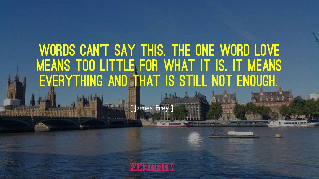 James Frey Quotes: Words can't say this. The