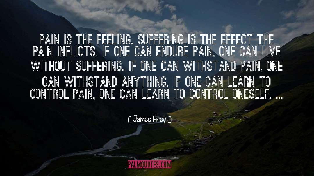 James Frey Quotes: Pain is the feeling. Suffering