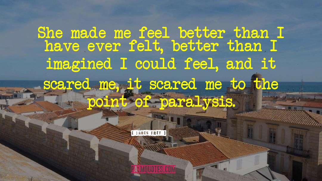 James Frey Quotes: She made me feel better