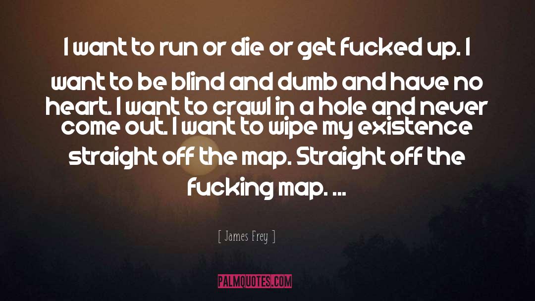 James Frey Quotes: I want to run or