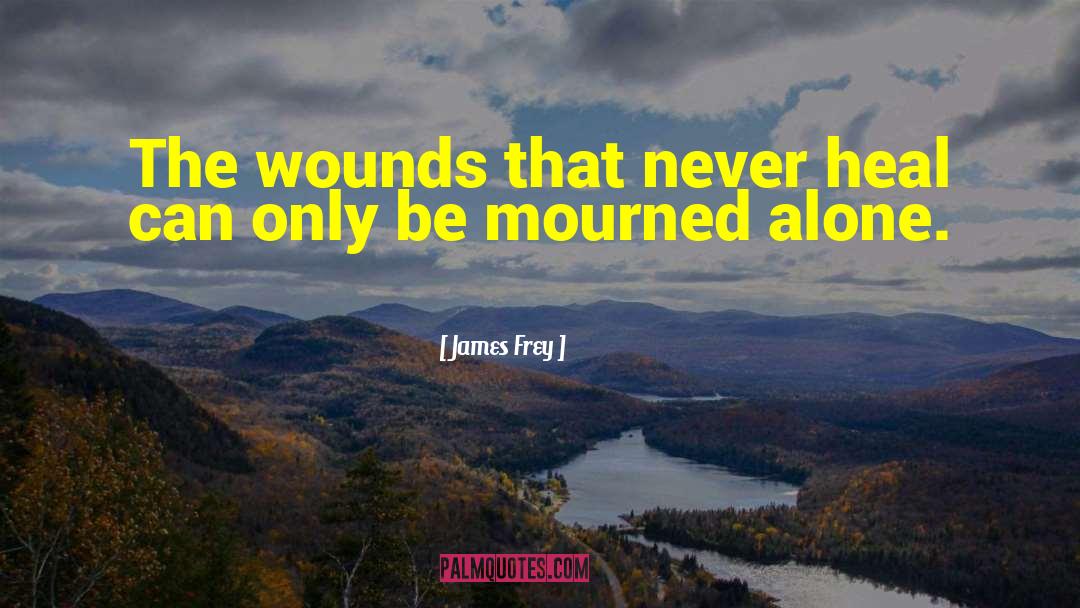 James Frey Quotes: The wounds that never heal