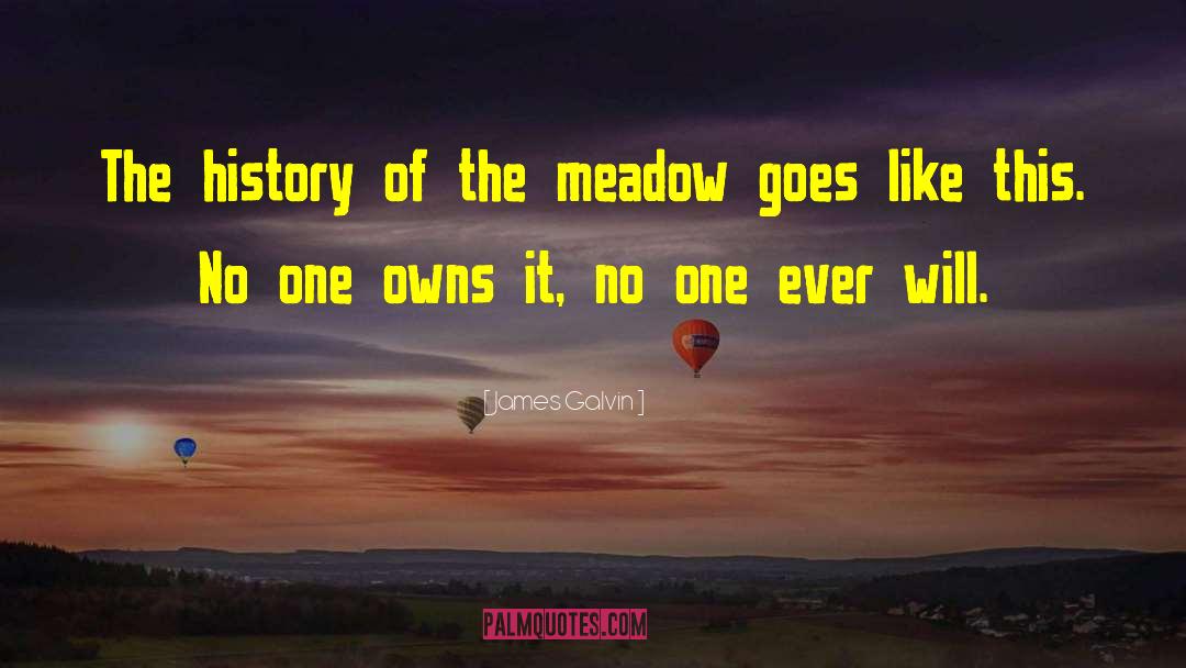 James Galvin Quotes: The history of the meadow