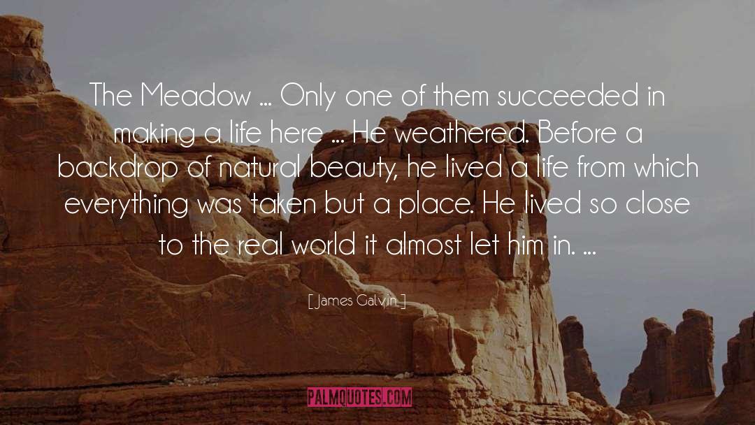 James Galvin Quotes: The Meadow ... Only one