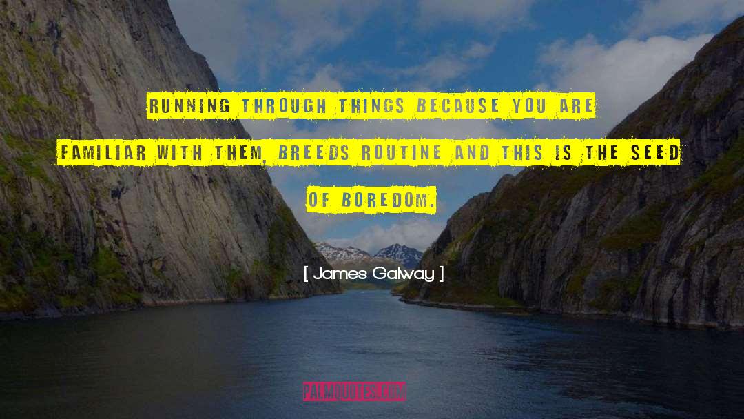 James Galway Quotes: Running through things because you
