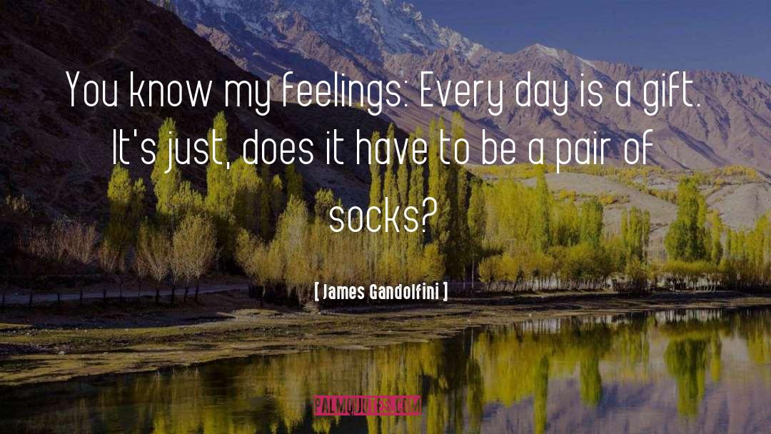 James Gandolfini Quotes: You know my feelings: Every