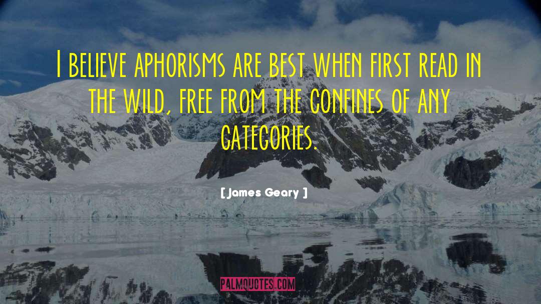 James Geary Quotes: I believe aphorisms are best