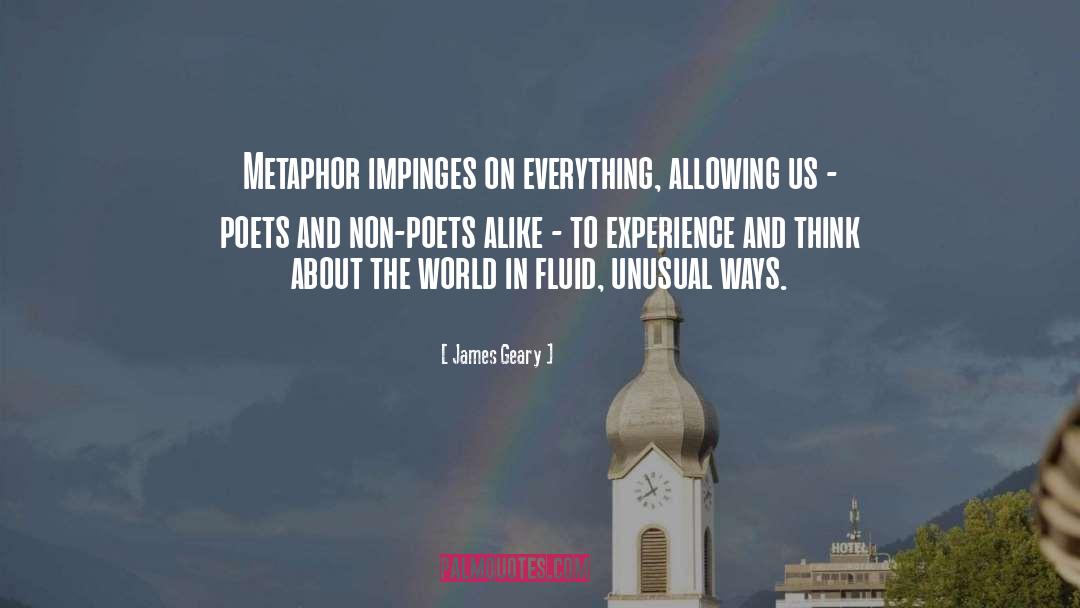 James Geary Quotes: Metaphor impinges on everything, allowing