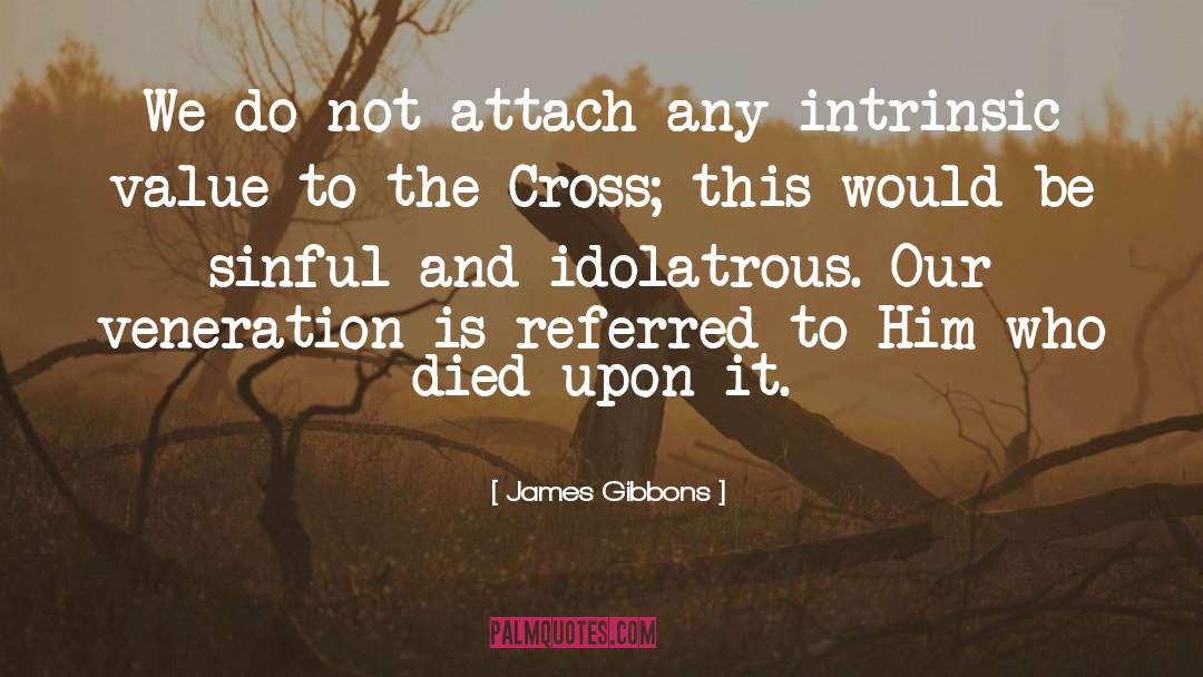 James Gibbons Quotes: We do not attach any