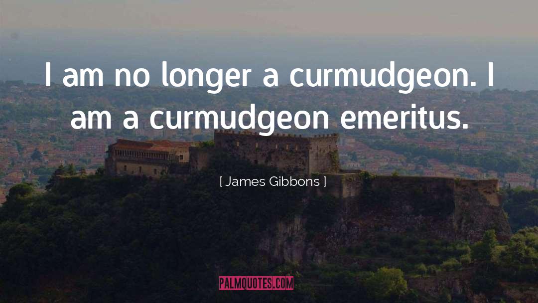 James Gibbons Quotes: I am no longer a