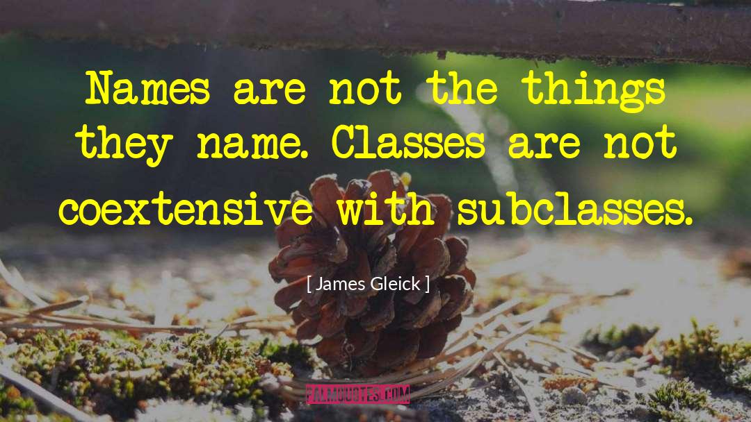 James Gleick Quotes: Names are not the things
