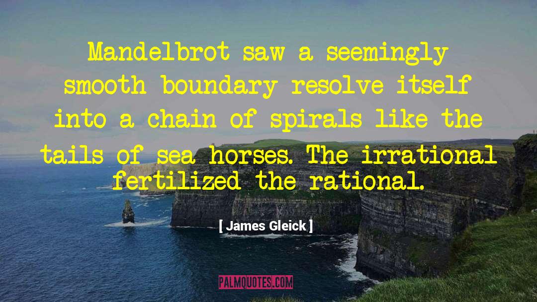 James Gleick Quotes: Mandelbrot saw a seemingly smooth