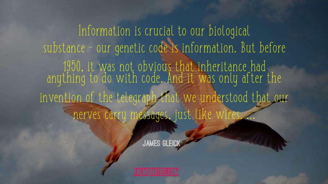 James Gleick Quotes: Information is crucial to our