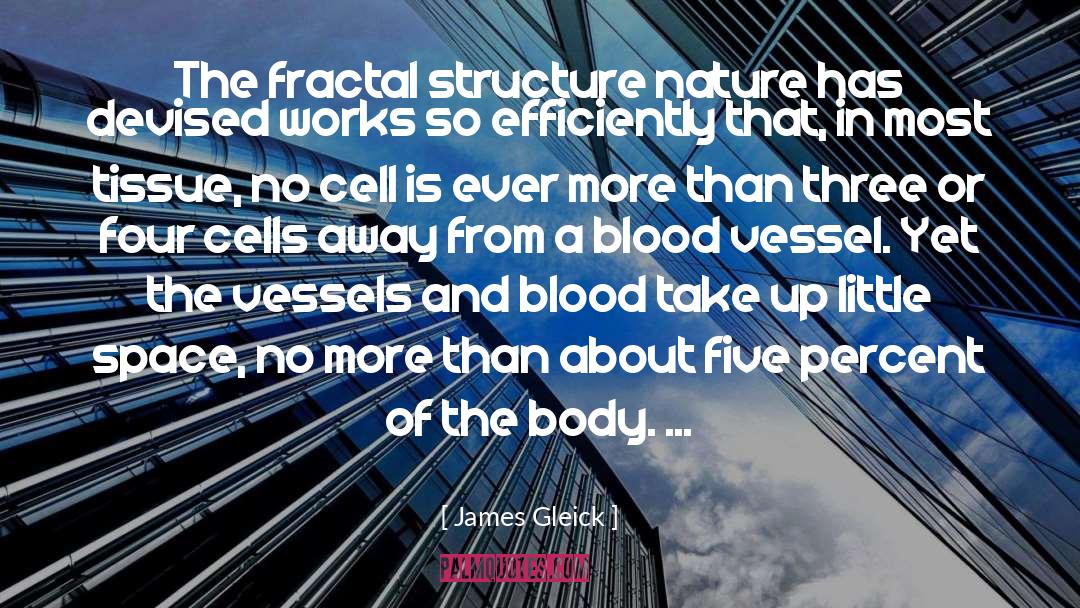 James Gleick Quotes: The fractal structure nature has